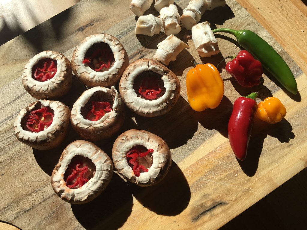 Champignons mit Chili