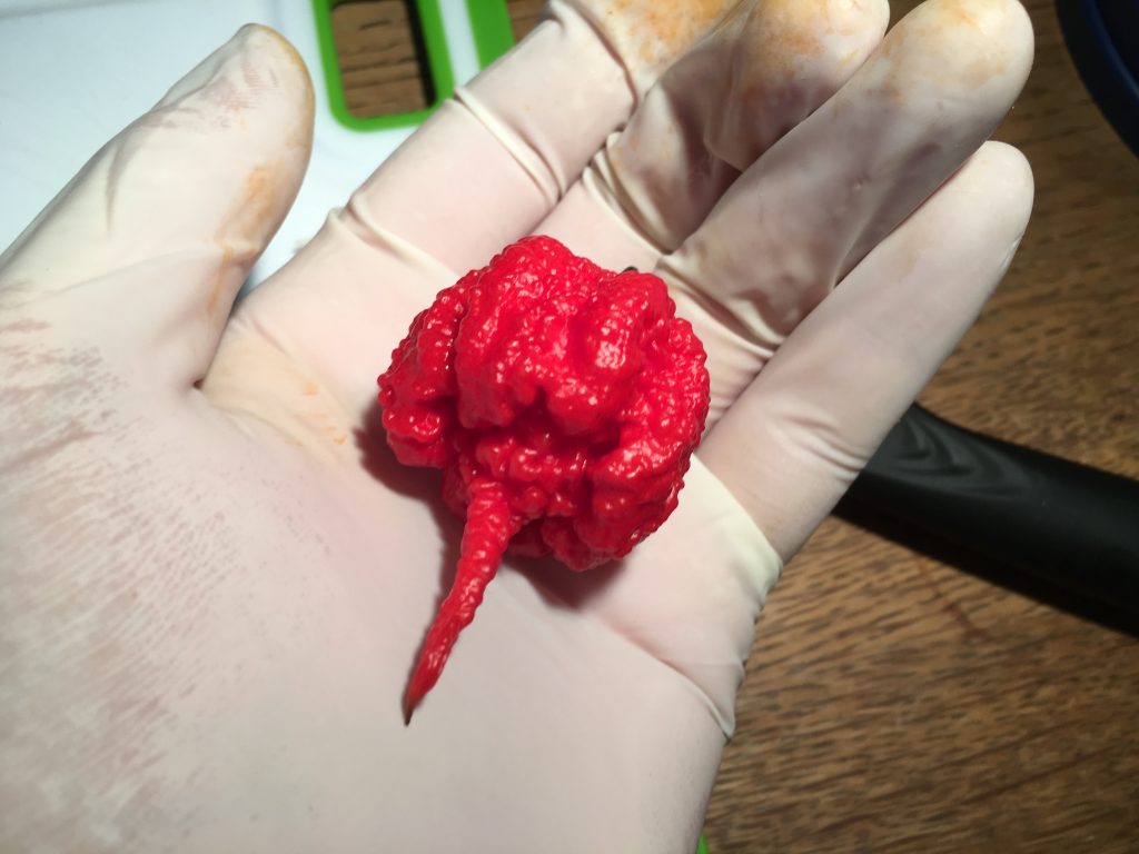 Carolina Reaper Frucht