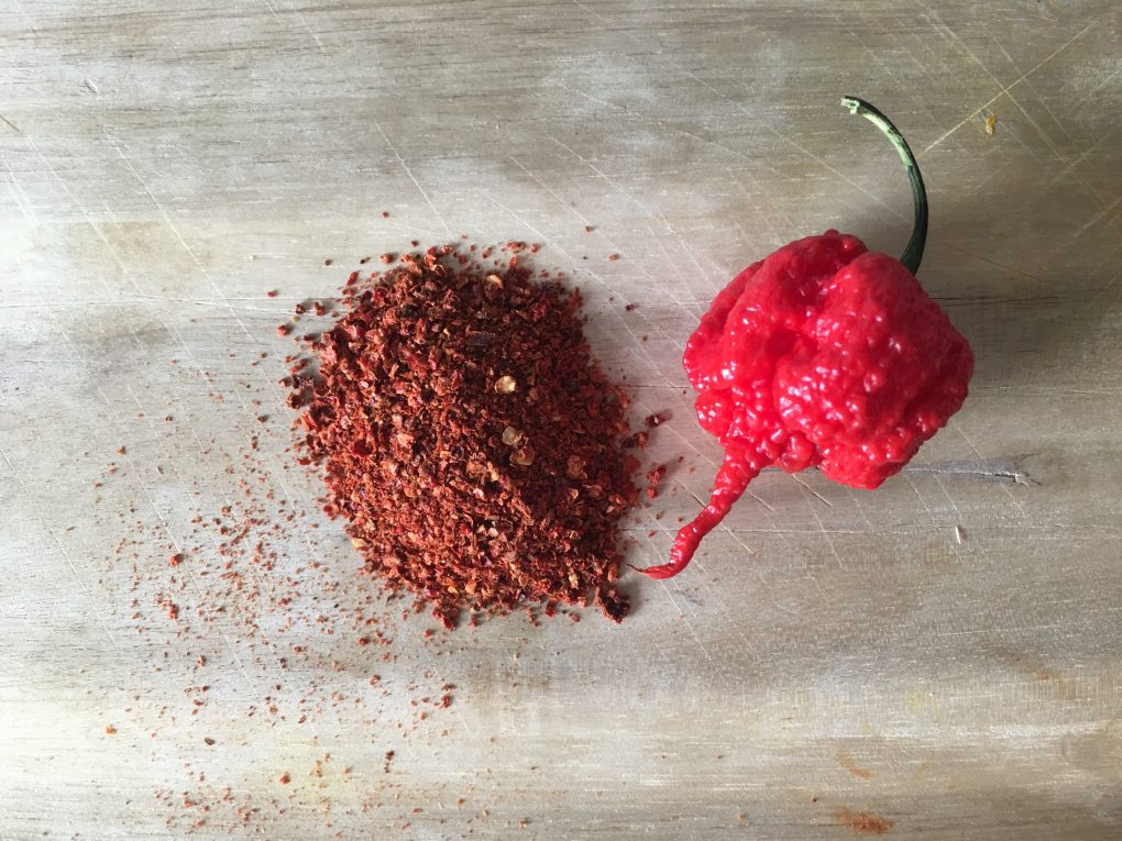 Carolina Reaper Pulver herstellen