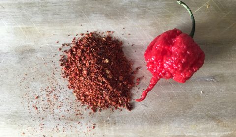 Carolina Reaper Pulver herstellen