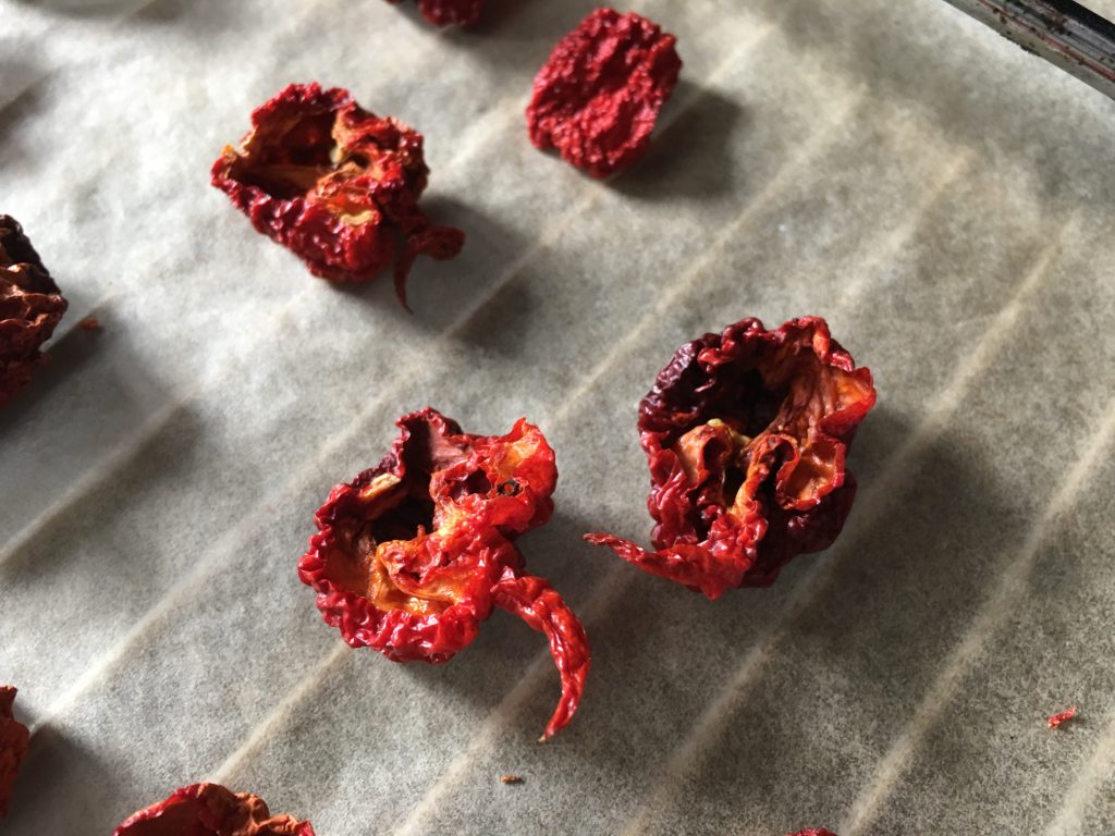Getrocknete Carolina Reaper