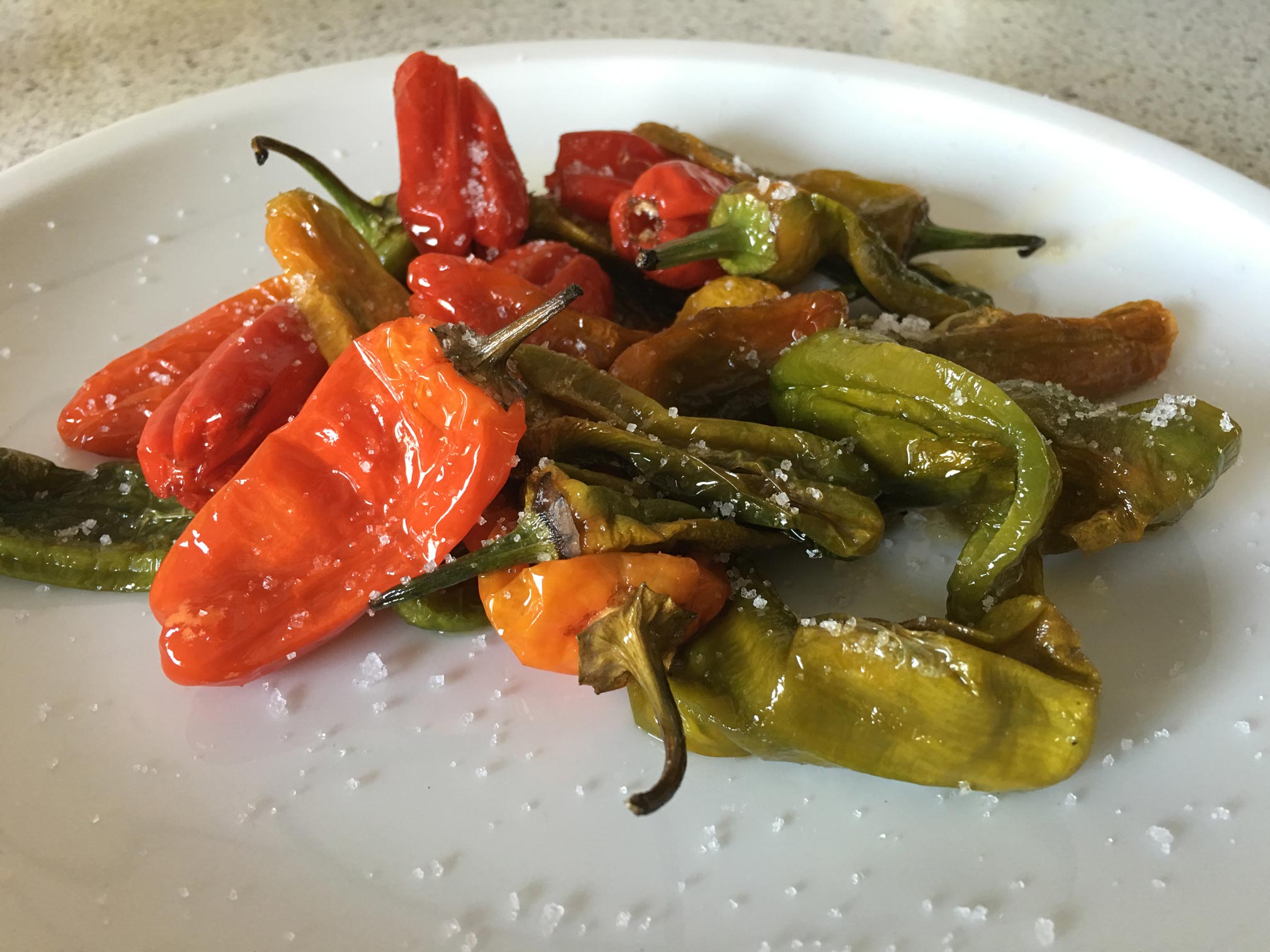 Pimientos de Padrón Rezept | Spanische Bratpaprika